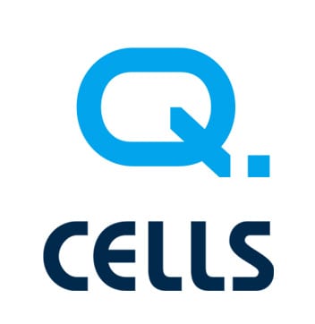 Q. Cells