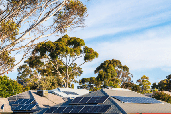 Back to School, Back to Savings: How Solar Panels Benefit the Budget