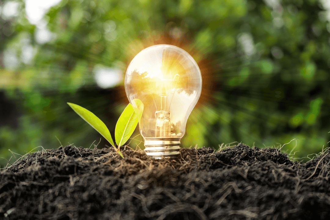 Solar Panel Maintenance: A Guide To Solar Panel System Inspection - New Day Solar