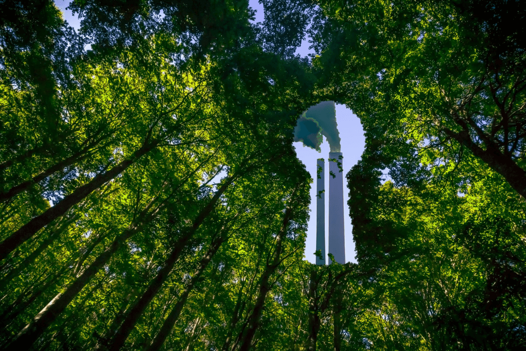 Green forest surrounding smoke stacks.