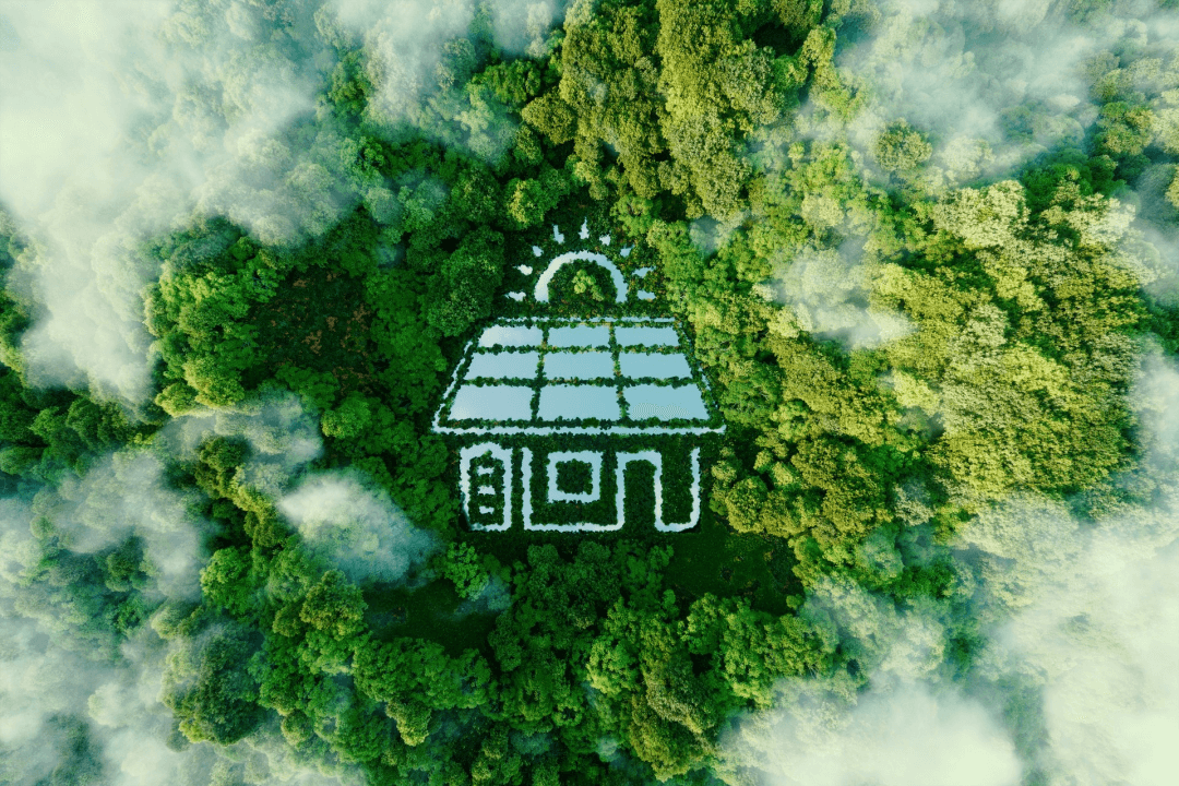 Transform Your Outdoor Space Using Outdoor Solar Lights and More - New Day Solar