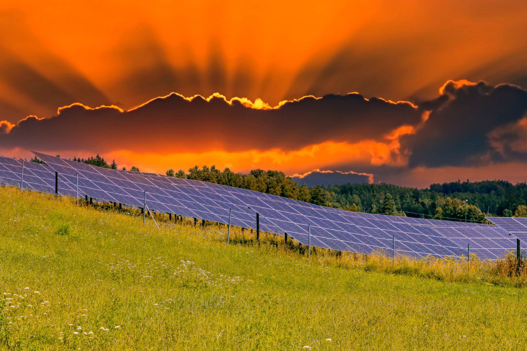 Solar Energy in Wildfire-Prone Areas: Is It Safe?